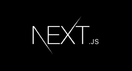 Next.js中文文档官网