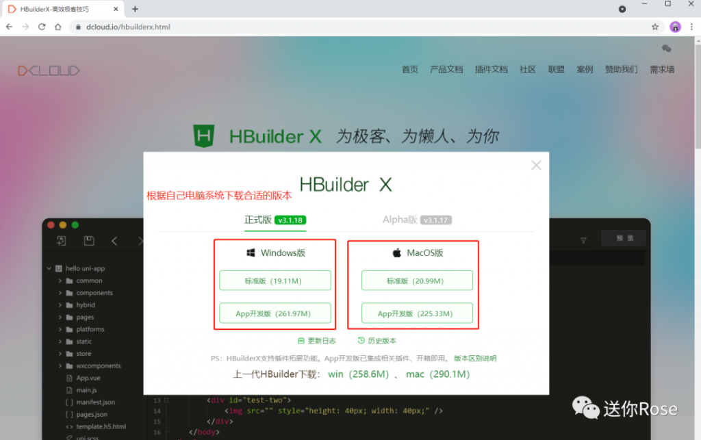 HBuilderX安装教程(windows安装方法)