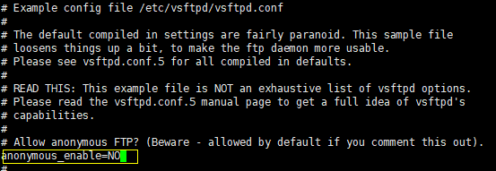 Linux环境中FTP服务的安装与配置